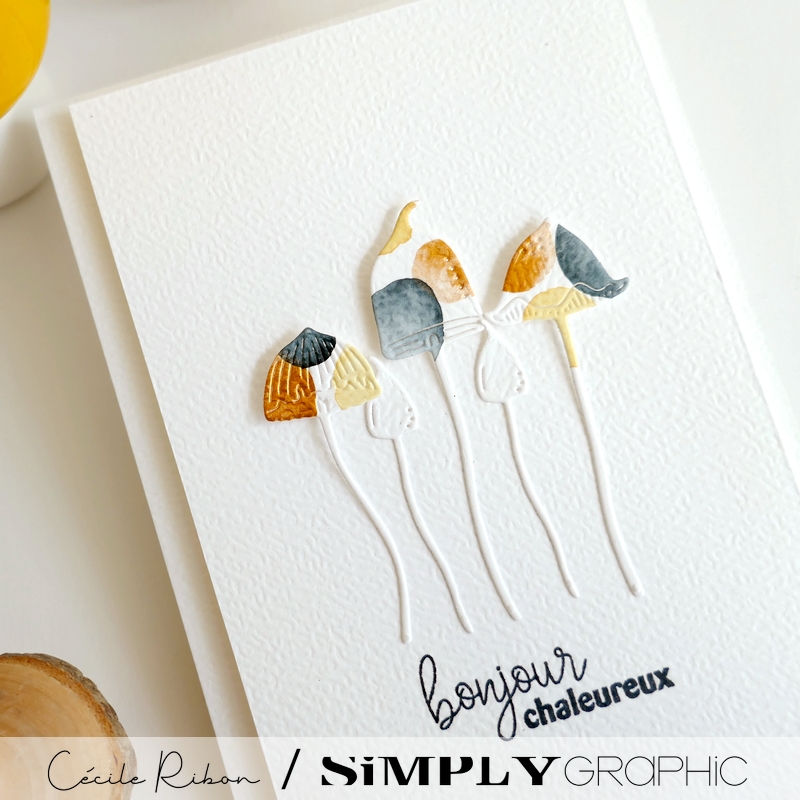 Carte SGx04 - P1480076