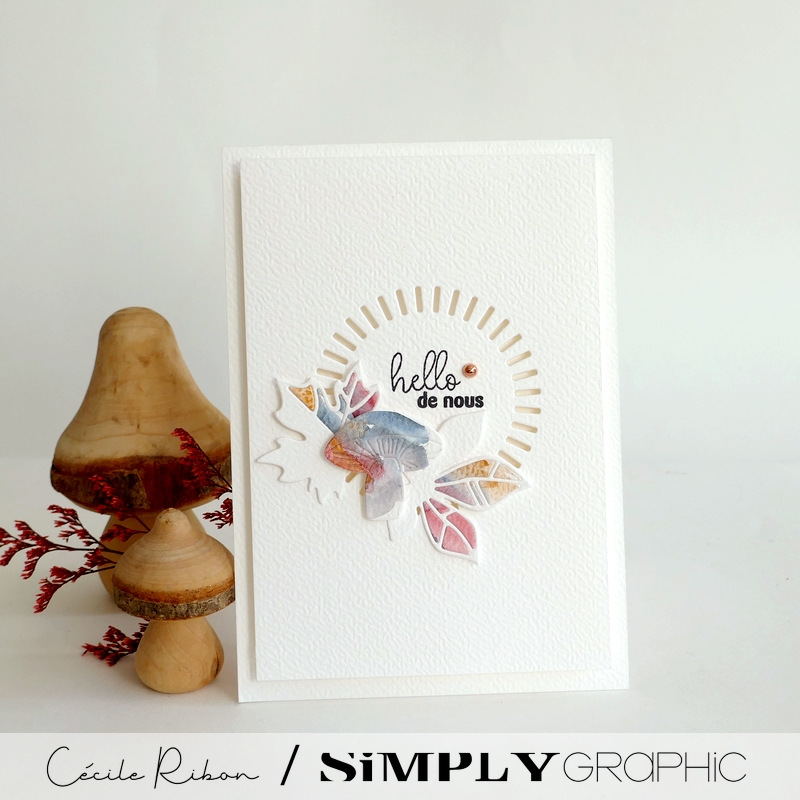 Carte SGx05 - P1480084