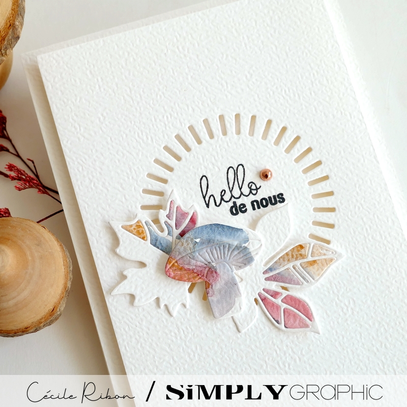 Carte SGx05 - P1480098