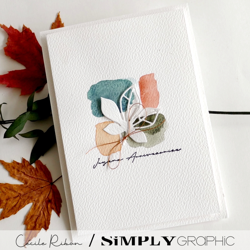 Carte AnnivF13 - P1480566