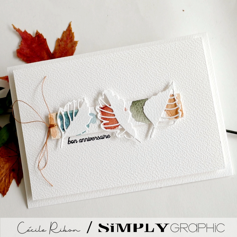 Carte AnnivF13 - P1480580