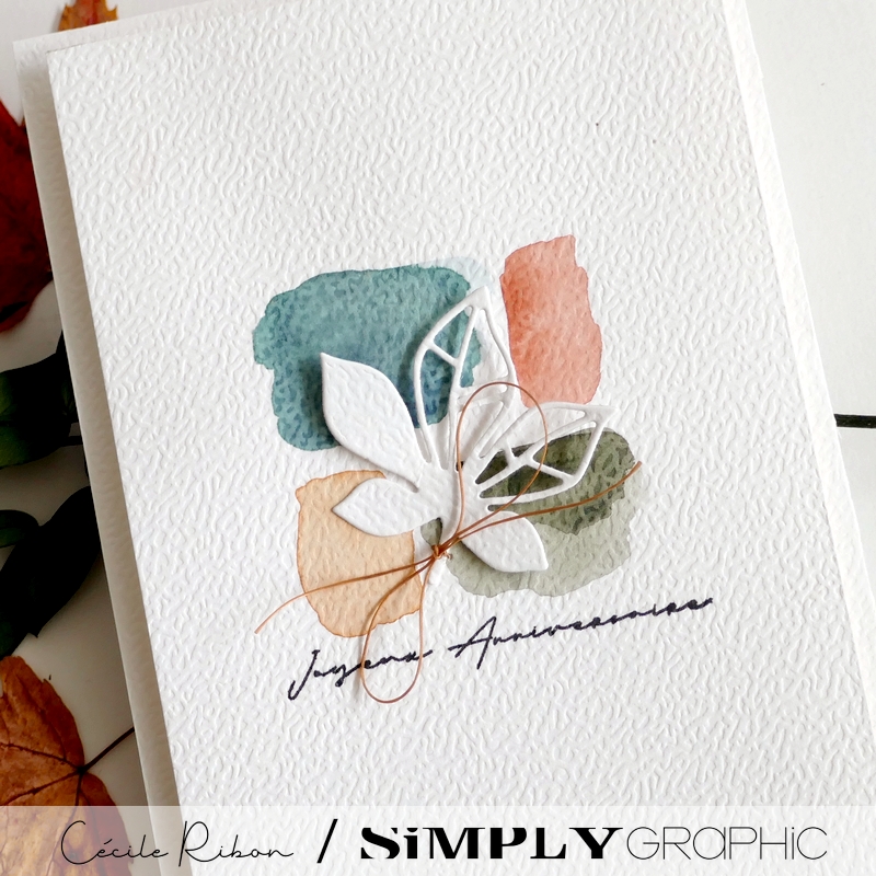 Carte AnnivF13d - P1480571