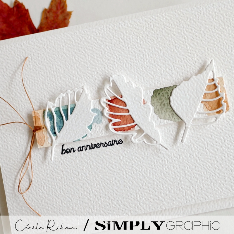 Carte AnnivF13d - P1480581