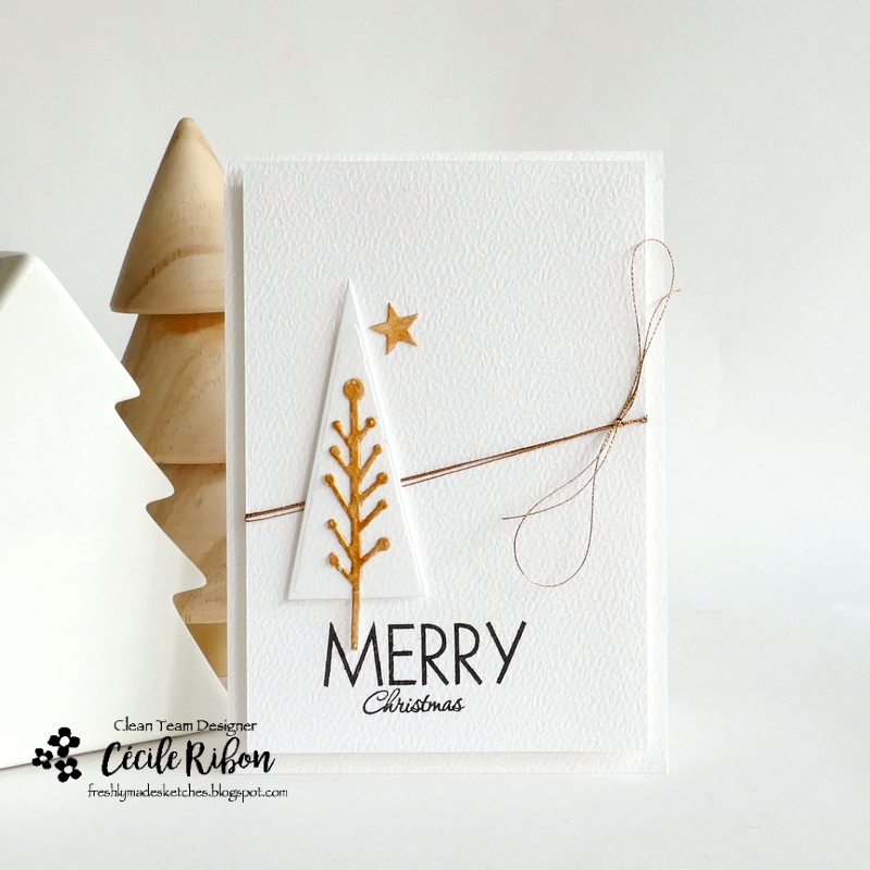 Carte FMS657 - P1480663