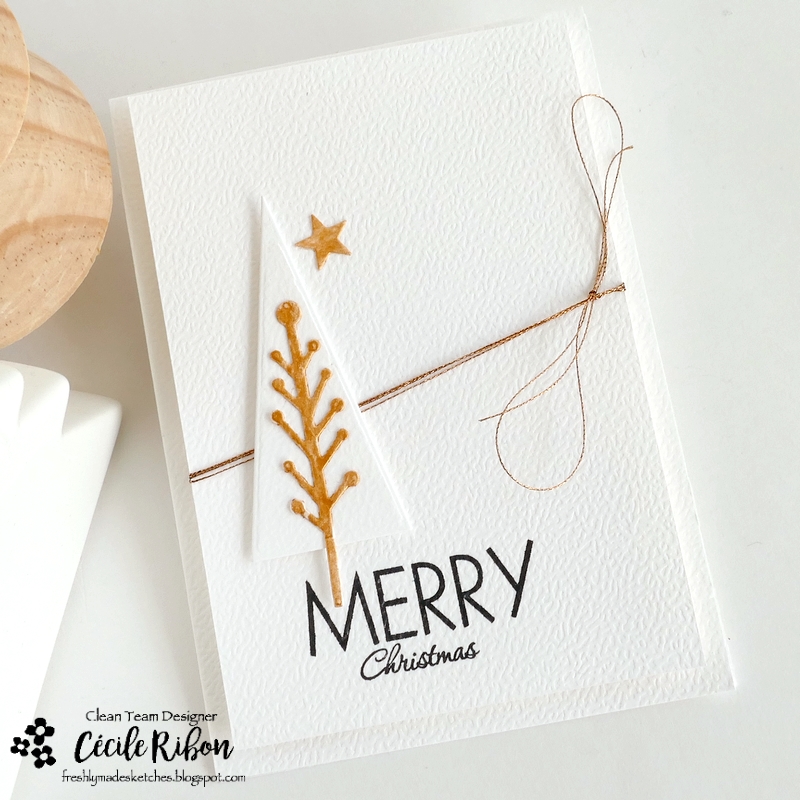 Carte FMS657 - P1480670