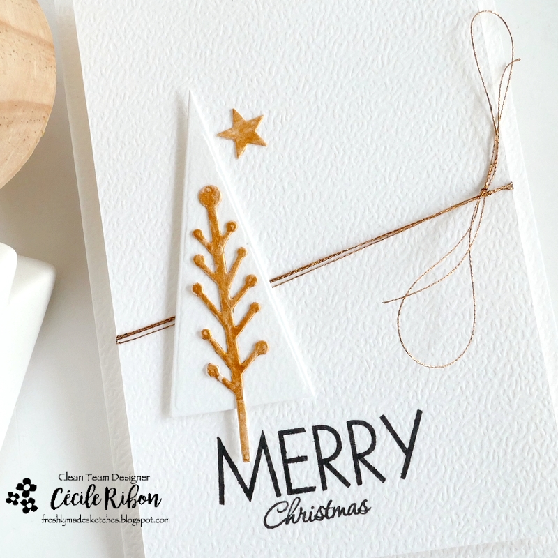 Carte FMS657 - P1480674