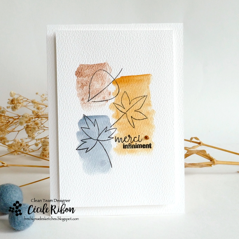 Carte FMS658 - P1480694