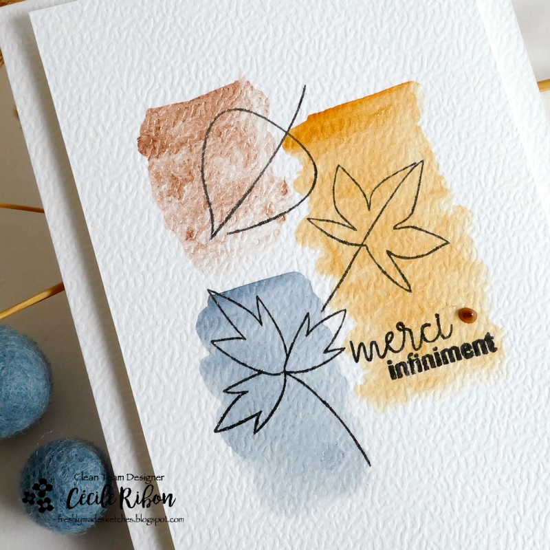 Carte FMS658 - P1480708