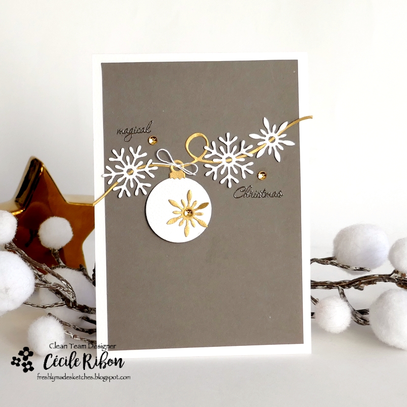 Carte FMS659 - P1480850