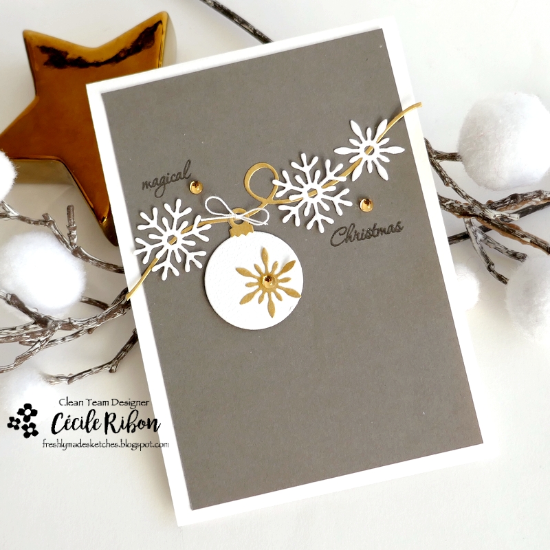 Carte FMS659 - P1480858