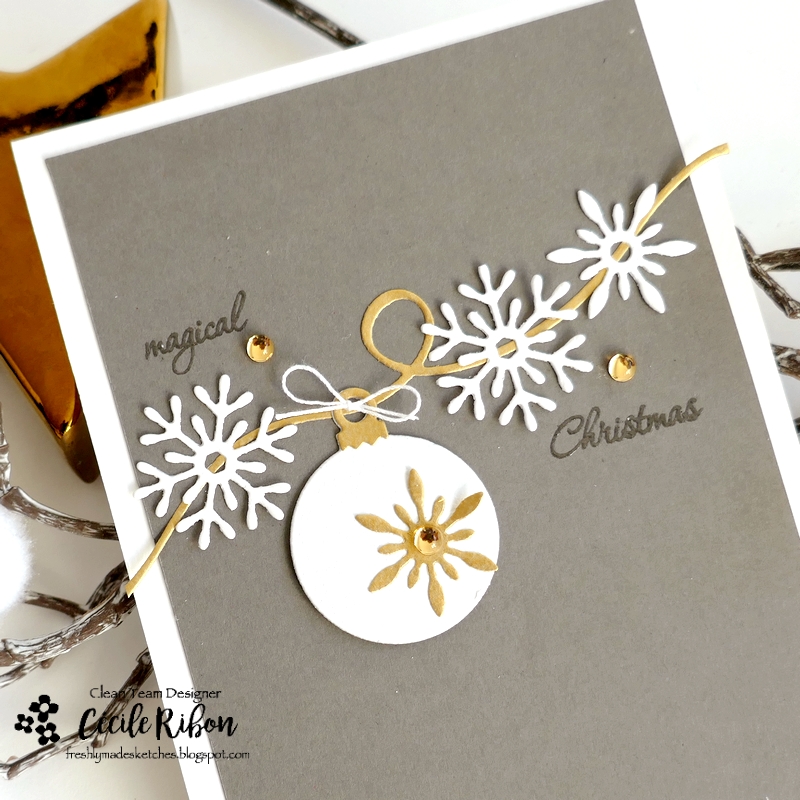 Carte FMS659 - P1480863