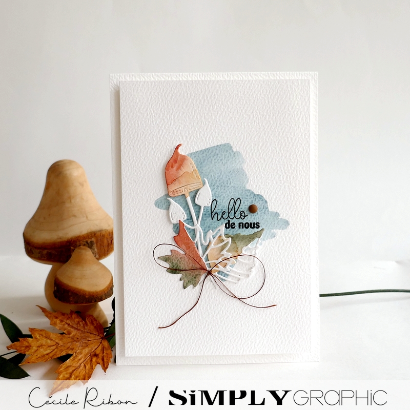 Carte SG39 - P1480540