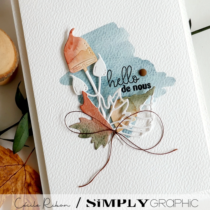 Carte SG39 - P1480546