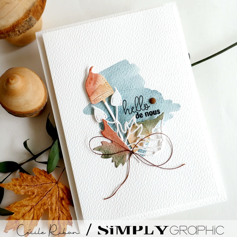 Carte SG39 - P1480553