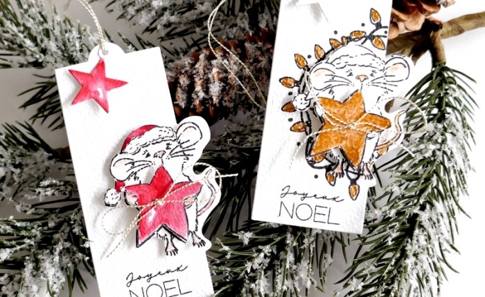 DT Farbton Papier : &laquo;&nbsp;Lui&nbsp;&raquo; , la petite souris de Noël&nbsp;…