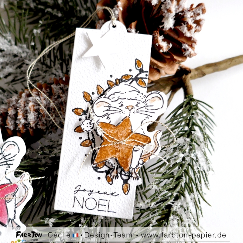 FarbtonP165 - P1480614