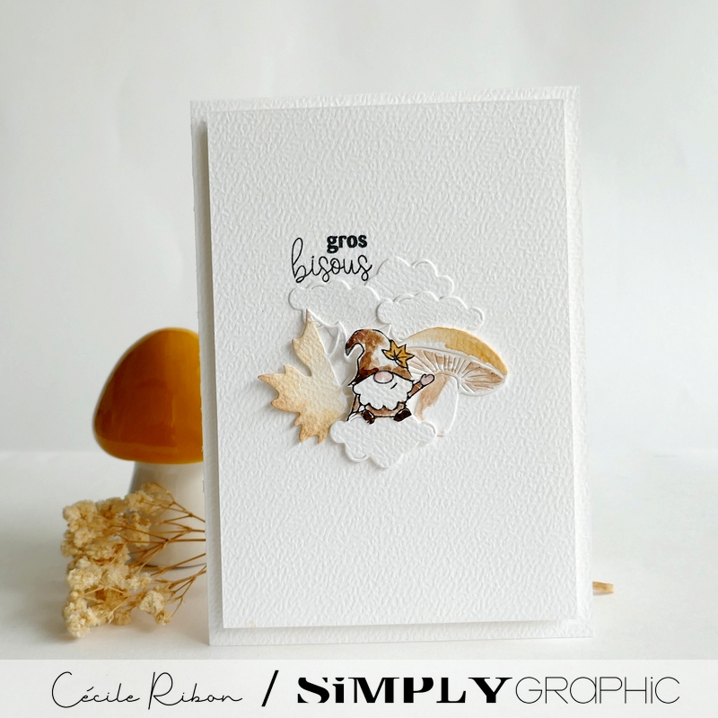 Carte SG40 - P1490088