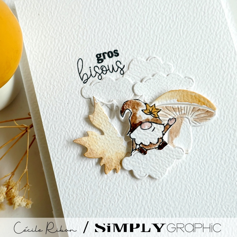 Carte SG40 - P1490095