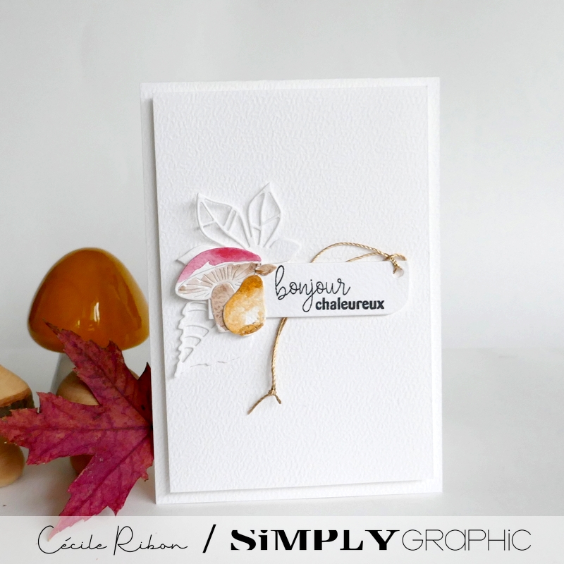 Carte SG40b - P1490100