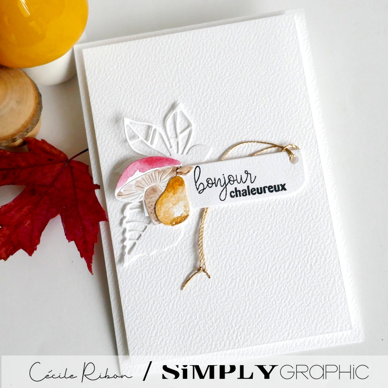 Carte SG40b - P1490108