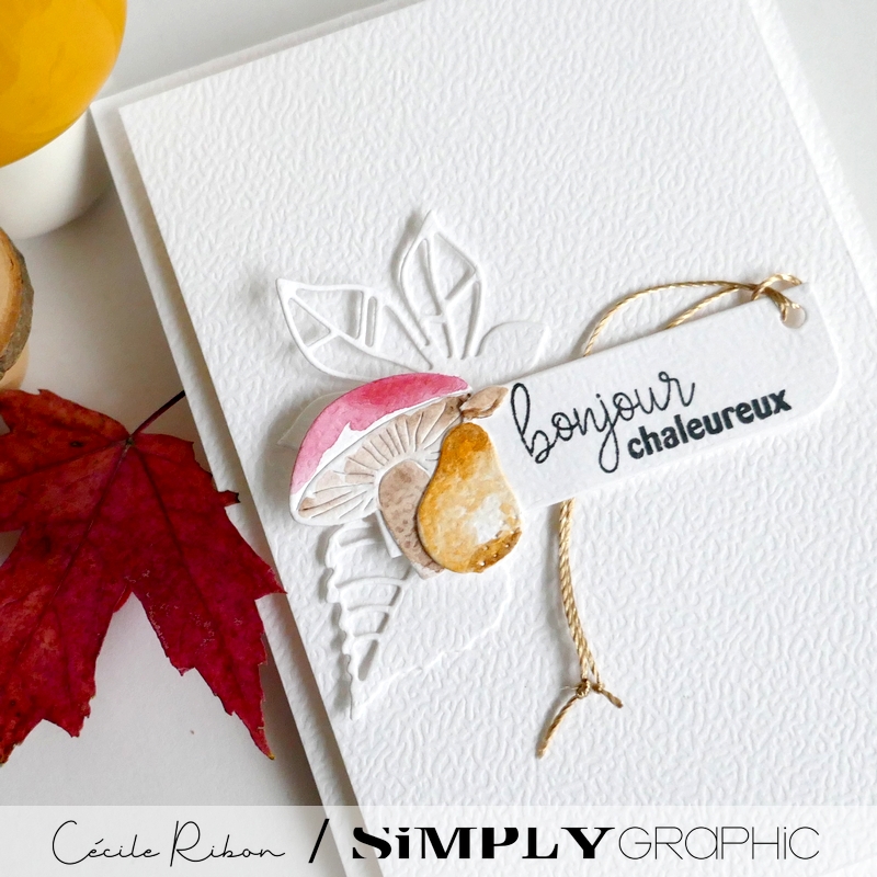 Carte SG40b - P1490116