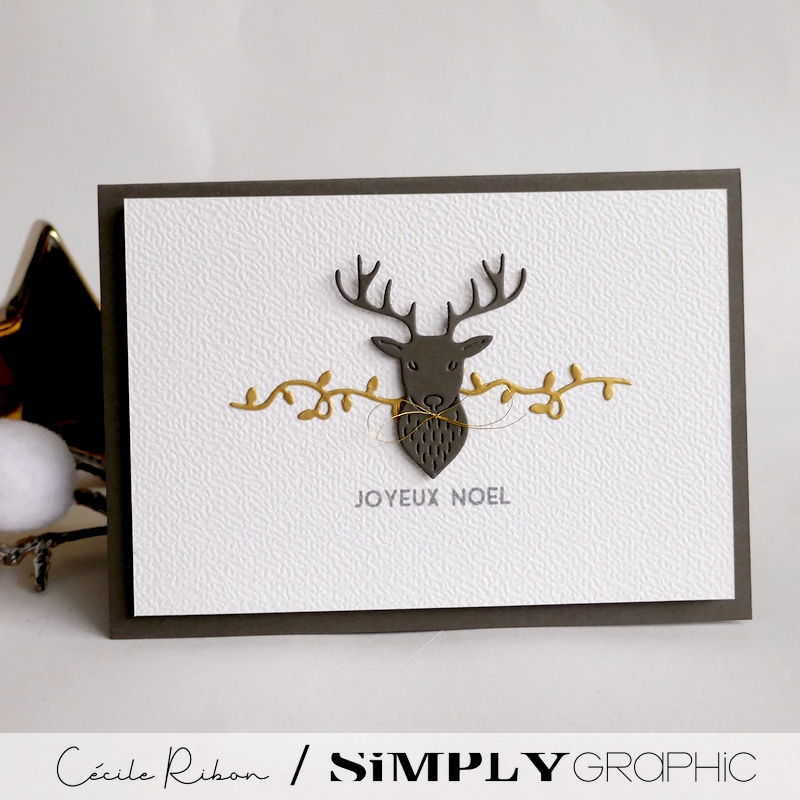 CalAvent SG18 - P1500301