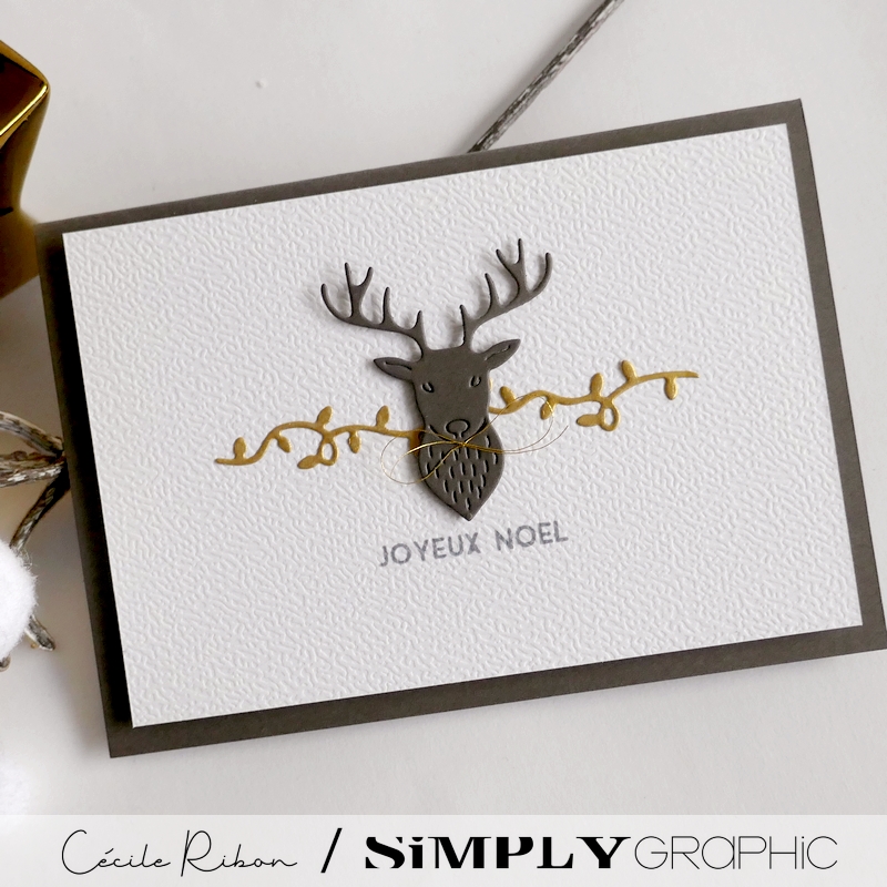 CalAvent SG18 - P1500307