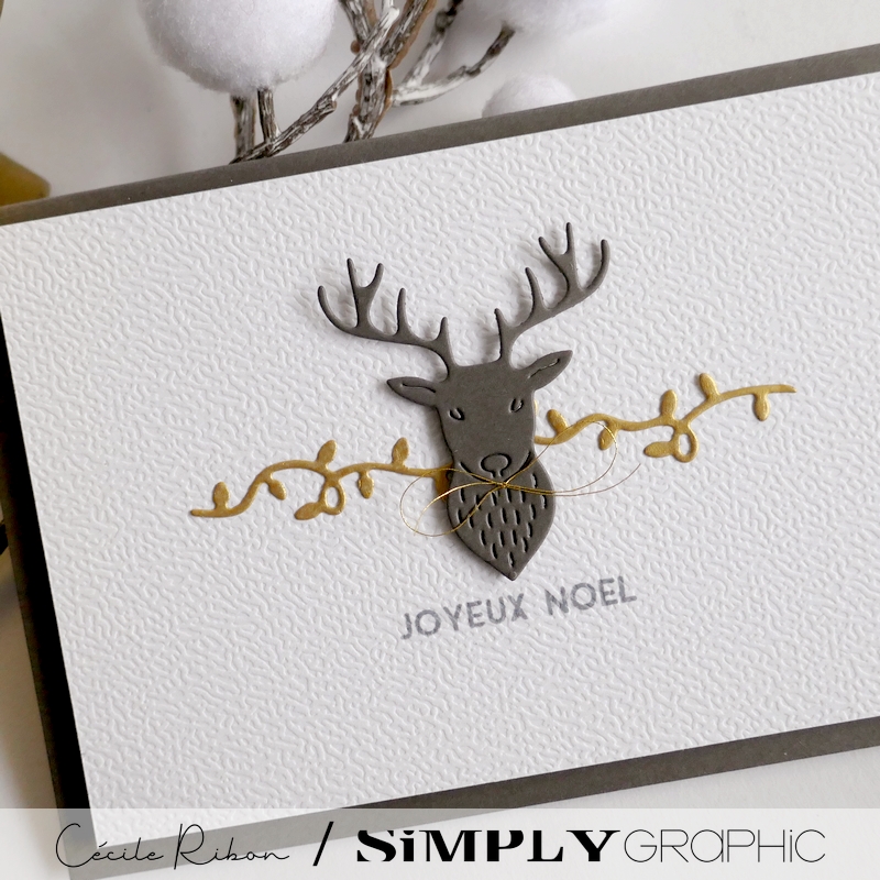 CalAvent SG18 - P1500313