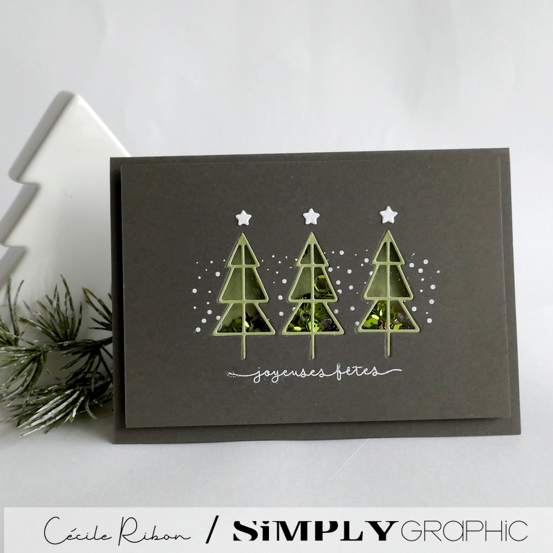 Carte SGAvent16 - P1500205