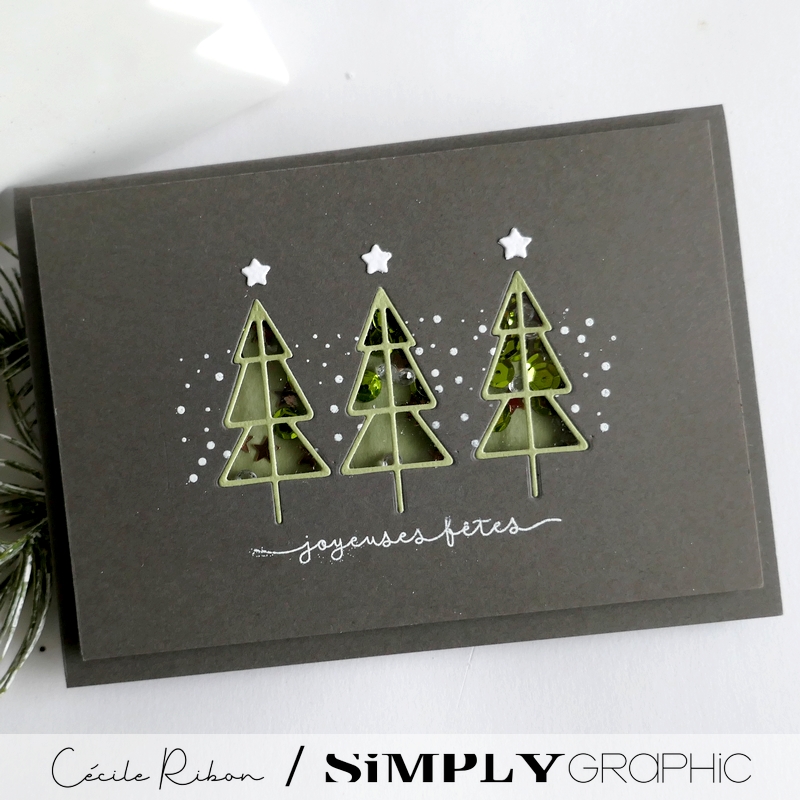 Carte SGAvent16 - P1500207