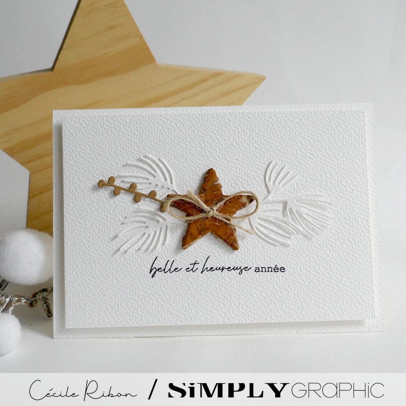 Carte SGAvent21 - P1500390