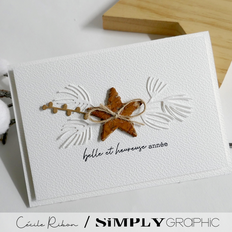 Carte SGAvent21 - P1500401