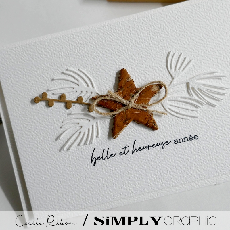 Carte SGAvent21 - P1500402