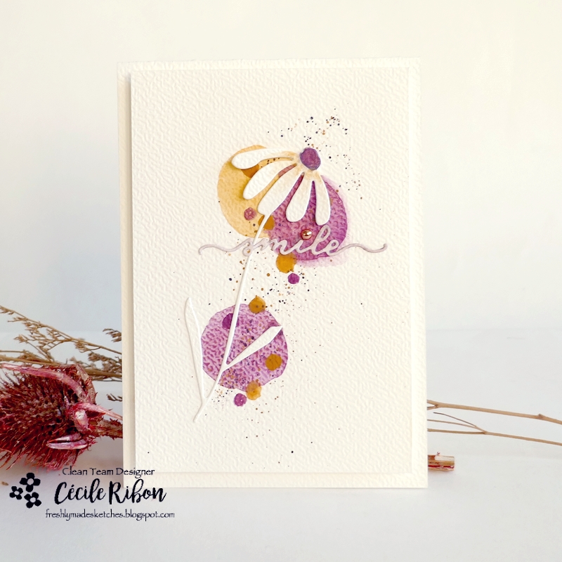 Carte FMS669 - P1500671