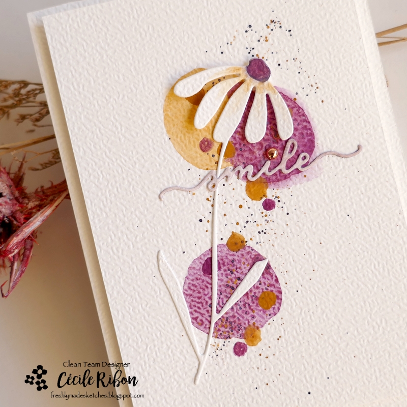 Carte FMS669 - P1500690