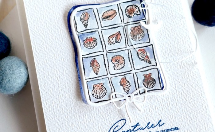 Simply Graphic : Collection de&nbsp;coquillages